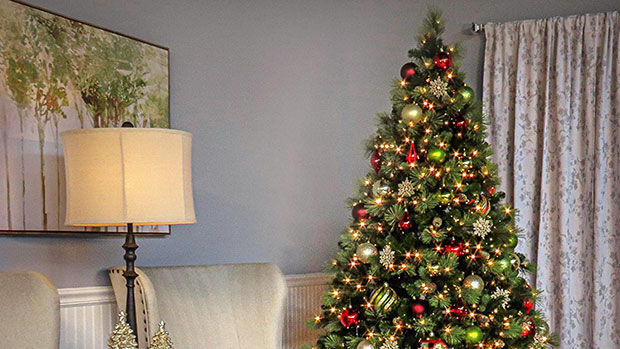 christmas-tree-amazon-ftr.jpg