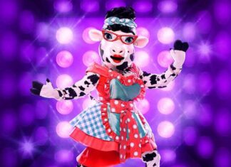 Masked Singer Finale Reveals Winner and Pretty Little Finalist