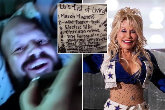 dolly.jpg