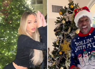 Celebrity Christmas Trees 2023 … Light Up Your Life!