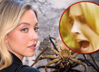Sydney Sweeney Bitten by Huntsman Spider, Terror-Stricken Reaction On Cam