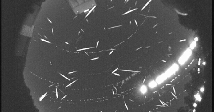 geminids_main1.jpg