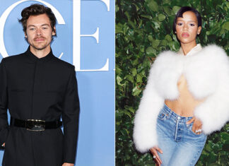 Harry Styles & Taylor Russell’s Romance Is Reportedly in ‘Crisis’ – Hollywood Life