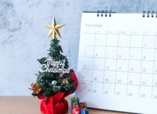 Stay Active, Practice Mindfulness: How To Create a Healthy Schedule and Routine