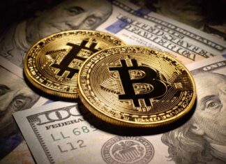 2023 Crypto Rebound Paves the Way for a Promising 2024: 2 Crypto-Centric Stocks to Watch