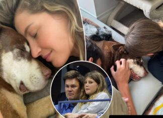 Tom Brady, Gisele Bündchen announce death of family dog, Lua