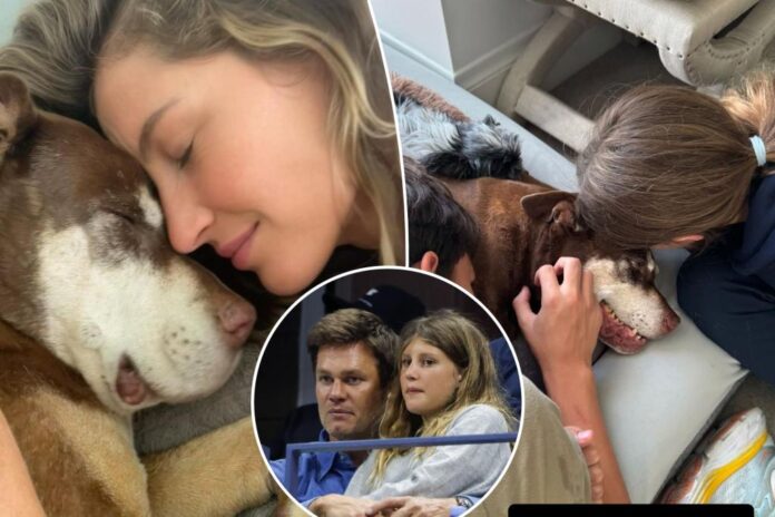 newspress-collage-3jlww6tnr-1703380361723.jpg