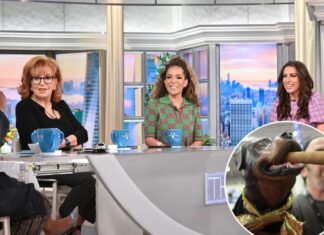 ‘The View’ roasted by ‘Triumph The Insult Comic Dog’ as hostile to other women, conservatives