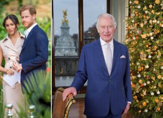 King Charles snubs Harry, Meghan Markle in Christmas message