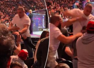 Sean Strickland, Dricus Du Plessis brawl in stands at UFC 296