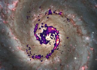 Mapping out star formation in the famous Whirlpool Galaxy
