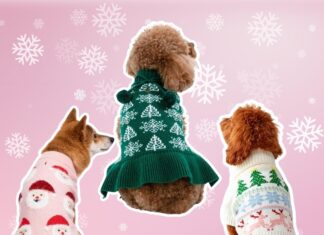 The Best Pet Christmas Sweaters for Every Furry Friend