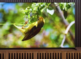 The best TVs of 2023: from Sony, Samsung, LG, TCL, and more