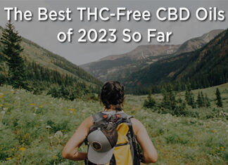 The Best THC-Free CBD Oils of 2023 So Far – Hollywood Life