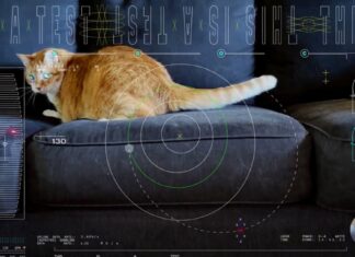 NASA streams first ultra-HD video from deep space via laser