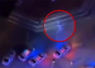 Miami PD Address ‘Alien Creature’ Caught On Camera During Police Response