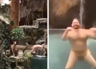 Man Streaks Naked, Does Cannonball Into Bass Pro Pond During Erratic Meltdown