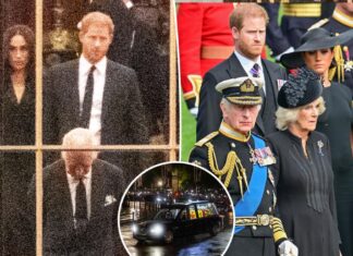 Meghan Markle, Prince Harry were ‘alienated’ at last gathering with King Charles: expert