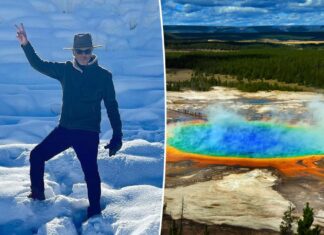 Pierce Brosnan pleads not guilty to trespassing at Yellowstone National Park