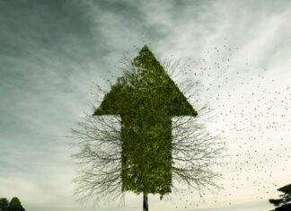 Investors are optimistic about 2024