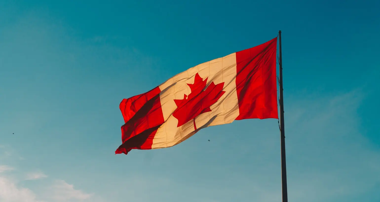 canadianflag_unsplash.jpeg