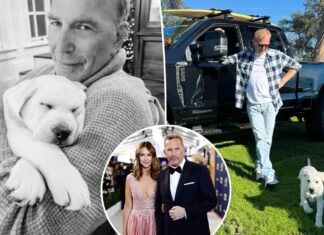 Kevin Costner welcomes puppy after Christine Baumgartner divorce: ‘Already in love’