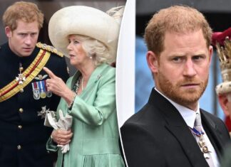 Prince Harry ‘preferred not to be in the same room’ as Queen Camilla during UK trip: longtime pal