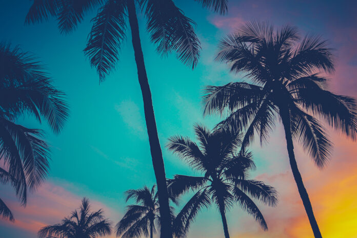 hawaii.jpeg