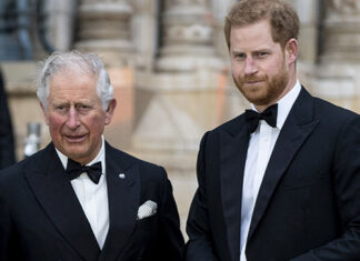 Prince Harry Would be Willing to Return to Royal Duties if Asked – Hollywood Life