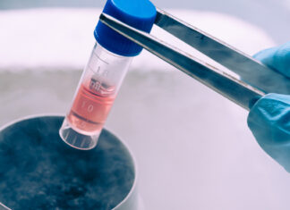 This Swedish startup wants to reduce the cost, and controversy, around stem cells production