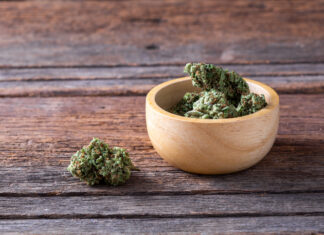 BOSSIP’s Hand Picked Cannabis Products You Should Try