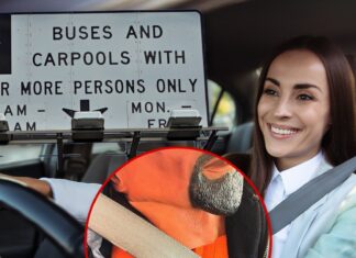Carpool Driver Caught with Elaborately Disguised Mannequin as Passenger
