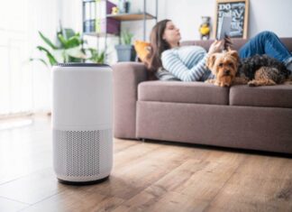 Best Budget Air Purifiers: 3 Affordable Options for Allergies, Pet Hair & More – Starting at $48