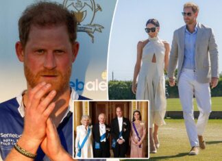 Prince Harry may cancel UK May trip over safety concerns after losing security: report