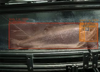 Shinkei’s humane, quality-preserving fish-harvesting tech could upend the seafood industry