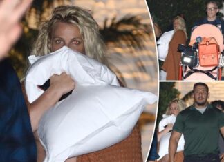Britney Spears claims ‘fake’ news after Chateau Marmont boyfriend fight