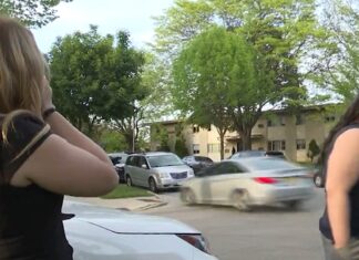 Milwaukee News Crew Accidentally Captures Insane Stolen Car Hit-and-Run