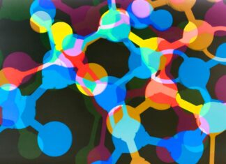 IndieBio’s SF incubator lineup is making some wild biotech promises