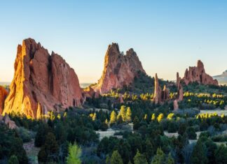 REcolorado board fired as shareholders reveal new buyer
