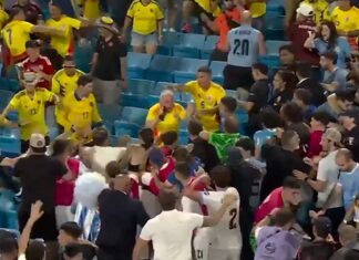 Uruguay’s Darwin Núñez Brawls With Fans In Stands After Copa América Game