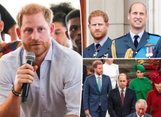 Prince Harry asked former royal aides to help plot return from exile: report
