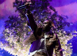 Fans Choose Fireboy DML’s ‘Adedamola’ as This Week’s Favorite New Music