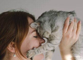 The Best Gift Ideas for All the Purrr-Fect Cat Moms