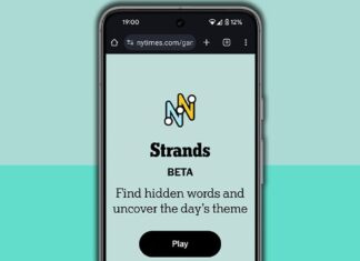 NYT Strands today — hints, answers and spangram for Tuesday, November 12 (game #254)