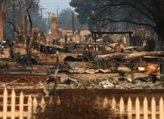 How to Help Those Impacted by the L.A. Wildfires (Updating)