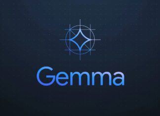 Google shutters developer-only Gemma AI model after a U.S. Senator’s encounter with an offensive hallucination