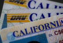 ID verification giant IDScan confirms data breach with more than 150 million driver’s licenses stolen