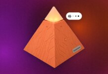 How strange it is to be anything at all: A first look at physical AI through Intern 2